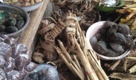 Authentic Spell Caster {+27608019525 }}╬ in South Africa, Spain, Suriname, Sweden Switzerland, Taiwan, Thailand, Turkey, Ukraine, United Arab Emirates, United Kingdom, Uruguay, South Africa, Venezuela, Vietnam Love Spells Caster +27608019525 Gay & Lesbian spell / SANGOMA /SPIRITUAL HEALER /Voodoo Spells Caster /Death & Revenge Spells in Denmark, Netherlands, Malta, Spain, Cyprus, Slovenia, Lithuania , South Africa, Netherlands South Africa USA UK Canada ,Alberta. British Columbia. Manito