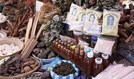 TRADITIONAL HEALER IN Newcastle [+27608019525]] ⓶SANGOMA / SPIRITUAL HEALER in Amanzimtoti, Bergville, Blouberg, Eshowe, Estcourt, Hluhluwe, Howick, Kokstad, Matatiele, Melmotho, Mooi River, Mankweng , Nongoma, Phoenix, Pinetown, Port Shepstone, Richards bay, Richmond, Scottsburgh, Stanger, Utrecht, Verulam, Vryheid, Westville, South Africa